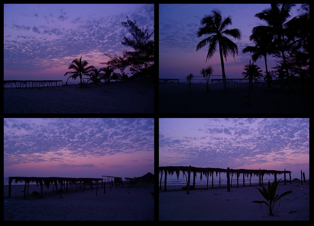 (01) blue dawn montage (day 5 - backup).jpg   (1000x720)   288 Kb                                    Click to display next picture